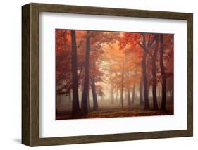 Feel-Ildiko Neer-Framed Photographic Print