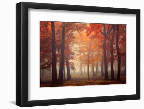 Feel-Ildiko Neer-Framed Photographic Print