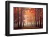 Feel-Ildiko Neer-Framed Photographic Print