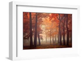 Feel-Ildiko Neer-Framed Photographic Print