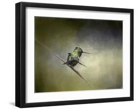 Feeling Frisky Hummingbird-Jai Johnson-Framed Giclee Print