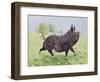 Feeling Great-Pat Scott-Framed Giclee Print