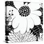 Feeling Groovy I Black and White-Michael Mullan-Stretched Canvas