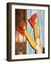 Feeling Groovy-Julia-Framed Giclee Print