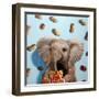 Feeling Nutty-Lucia Heffernan-Framed Art Print