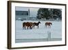 Feeling Spunky-Dana Styber-Framed Photographic Print