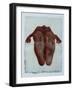 Feet, 2023 (W/C on Arches)-Graham Dean-Framed Giclee Print