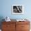 Feet and Golf Clubs Belonging to Golfer Byron Nelson-Gabriel Benzur-Framed Premium Photographic Print displayed on a wall