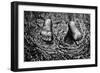 Feet In Water Statue Newport Rhode Island-null-Framed Photo