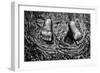 Feet In Water Statue Newport Rhode Island-null-Framed Photo