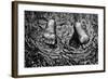 Feet In Water Statue Newport Rhode Island-null-Framed Photo