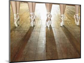 Feet of Ballerinas-Hans Neleman-Mounted Photographic Print