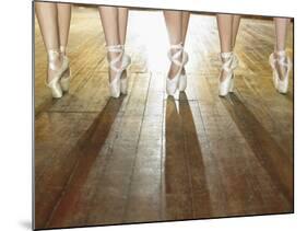 Feet of Ballerinas-Hans Neleman-Mounted Photographic Print