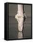 Feet of Ballet Dancer En Pointe-Erik Isakson-Framed Stretched Canvas