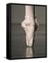 Feet of Ballet Dancer En Pointe-Erik Isakson-Framed Stretched Canvas