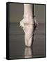 Feet of Ballet Dancer En Pointe-Erik Isakson-Framed Stretched Canvas