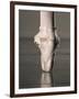 Feet of Ballet Dancer En Pointe-Erik Isakson-Framed Photographic Print