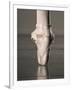 Feet of Ballet Dancer En Pointe-Erik Isakson-Framed Photographic Print