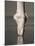 Feet of Ballet Dancer En Pointe-Erik Isakson-Mounted Photographic Print