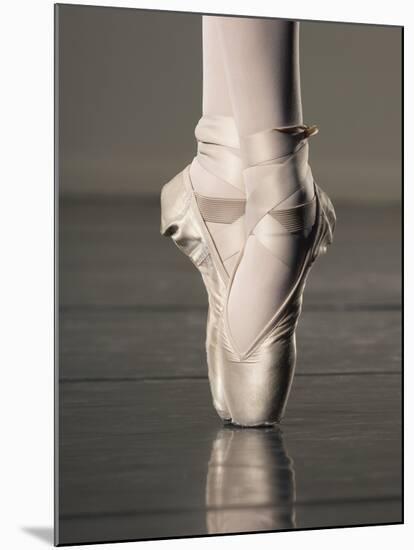 Feet of Ballet Dancer En Pointe-Erik Isakson-Mounted Photographic Print