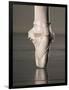 Feet of Ballet Dancer En Pointe-Erik Isakson-Framed Photographic Print