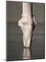 Feet of Ballet Dancer En Pointe-Erik Isakson-Mounted Photographic Print