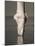 Feet of Ballet Dancer En Pointe-Erik Isakson-Mounted Photographic Print