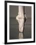 Feet of Ballet Dancer En Pointe-Erik Isakson-Framed Photographic Print