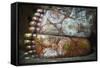 Feet of the Reclining Buddha in Cave 1 (Cave of the Divine King) (Temple of the Divine King)-Matthew Williams-Ellis-Framed Stretched Canvas