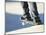 Feet on a Skateboard at the Edge of a Ramp-null-Mounted Premium Photographic Print