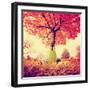Feet Resting on a Tree Trunk during Fall When the Leaves are Turning Colors Toned with a Retro Vint-graphicphoto-Framed Photographic Print