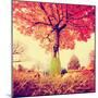 Feet Resting on a Tree Trunk during Fall When the Leaves are Turning Colors Toned with a Retro Vint-graphicphoto-Mounted Photographic Print