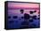 Fehmarn Island, Baltic Sea, Fehmarn, Evening-Thomas Ebelt-Framed Stretched Canvas