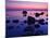 Fehmarn Island, Baltic Sea, Fehmarn, Evening-Thomas Ebelt-Mounted Photographic Print