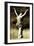 Felia Doubrovska, Russian Ballet Dancer and Teacher, 20th Century-null-Framed Giclee Print
