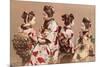 Felice Beato, Japanese Girls in Traditional Dresses, 1863-1877. Brera Gallery, Milan, Italy-Felice Beato-Mounted Premium Giclee Print