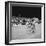 Felice Gimondi, Raymond Poulidor and Gianni Motta are Celebrated at the End of the Tour De France-Mario de Biasi-Framed Premium Giclee Print