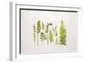 Chelsea White