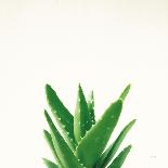 Succulent Simplicity II Neutral-Felicity Bradley-Art Print