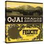 Felicity Brand - Ojai, California - Citrus Crate Label-Lantern Press-Stretched Canvas