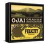 Felicity Brand - Ojai, California - Citrus Crate Label-Lantern Press-Framed Stretched Canvas