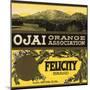 Felicity Brand - Ojai, California - Citrus Crate Label-Lantern Press-Mounted Art Print