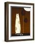 Feline and Two Leaves-Jo Parry-Framed Art Print