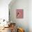 Feline Blush-Larisa Hernandez-Stretched Canvas displayed on a wall