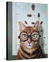 Feline Cat Exam-Lucia Heffernan-Stretched Canvas