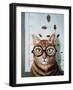 Feline Eye Exam-Lucia Heffernan-Framed Art Print