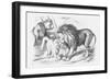 Feline Friends; Or, the British Lion and the Persian Chat!, 1873-Joseph Swain-Framed Giclee Print
