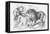 Feline Friends; Or, the British Lion and the Persian Chat!, 1873-Joseph Swain-Framed Stretched Canvas