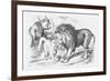 Feline Friends; Or, the British Lion and the Persian Chat!, 1873-Joseph Swain-Framed Giclee Print