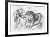 Feline Friends; Or, the British Lion and the Persian Chat!, 1873-Joseph Swain-Framed Giclee Print